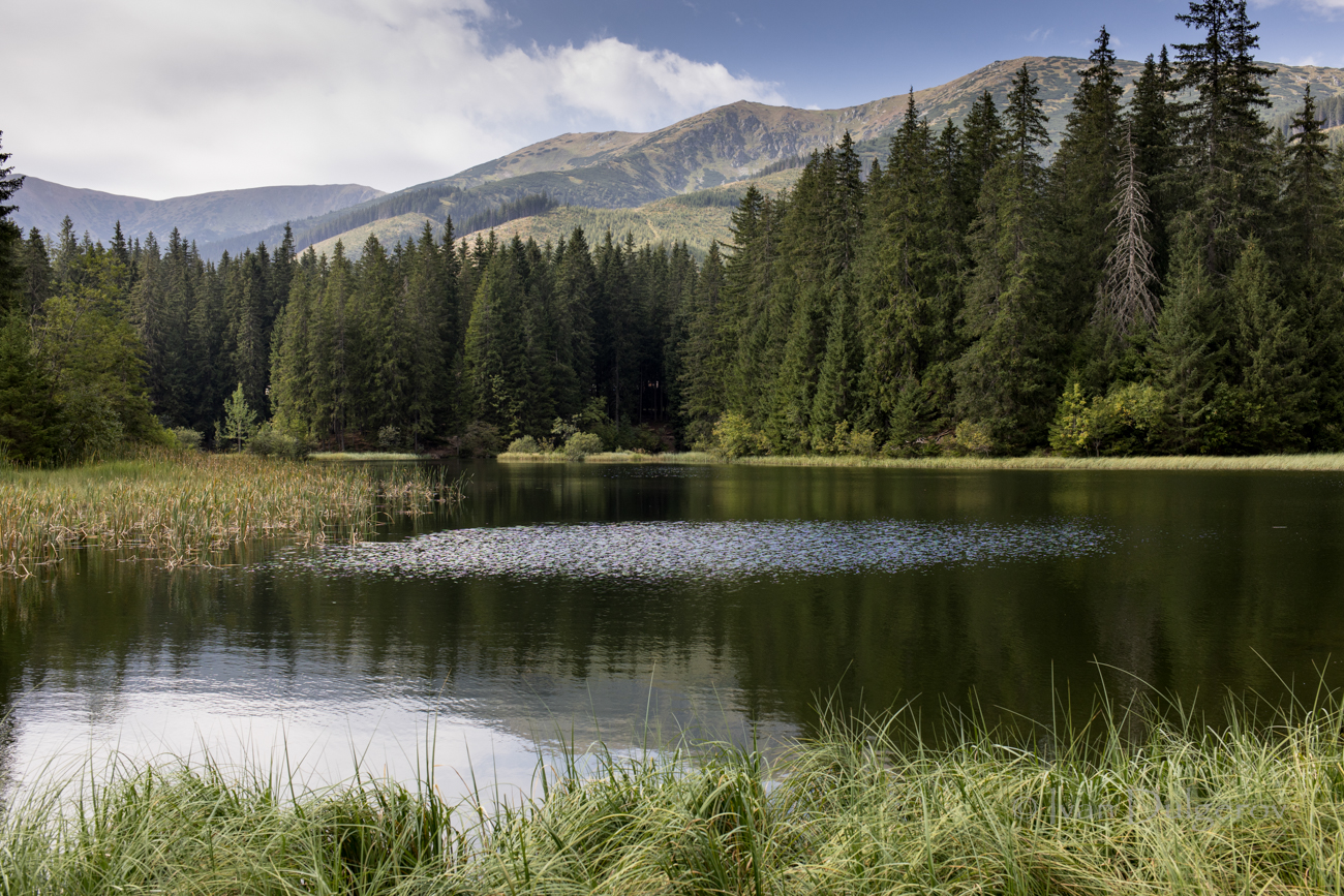 Vrbické pleso