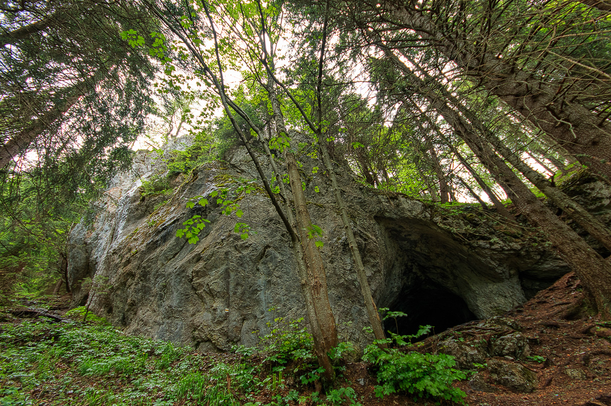 Jaskyňa